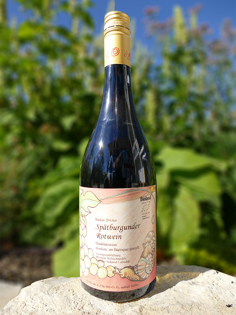 Bio-Spätburgunder Rotwein Qualitätswein trocken 1,0 l - Weingut ...